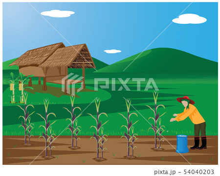agriculturist manure corn plant vector design 54040203