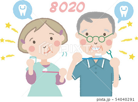 大人の歯磨き （シニア）26  54040291