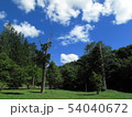 来運の水　公園 54040672