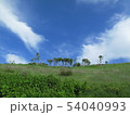能取岬旧道からの景色 54040993