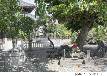 本覚寺のしあわせ地蔵（鎌倉市小町） 54041020