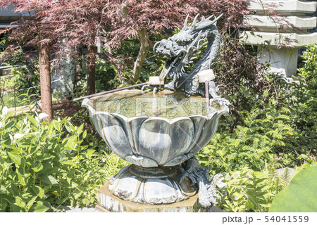 成就院（鎌倉市極楽寺） 54041559