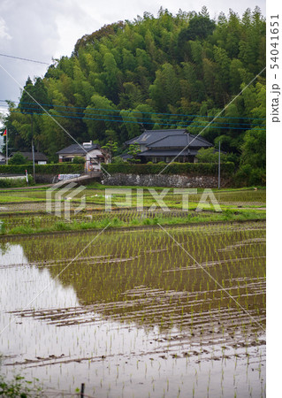 建造物 建造物 54041651