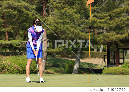 パッティングを打つ女性 イメージ 54042742