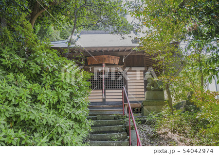 御霊神社(横浜市栄区長尾台) 御霊神社(横浜市栄区長尾台) 54042974