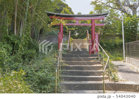 御霊神社（横浜市栄区長尾台） 54043040