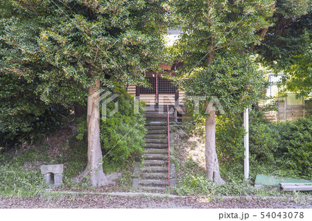 御霊神社(横浜市栄区長尾台) 御霊神社(横浜市栄区長尾台) 54043078