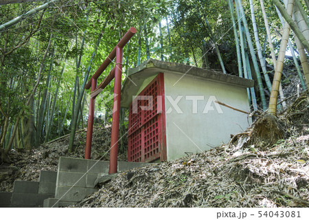 御霊神社の稲荷社(横浜市栄区長尾台) 御霊神社の稲荷社(横浜市栄区長尾台) 54043081
