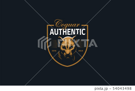 The image of a coguar or panter. The image of a coguar or panter. 54043498