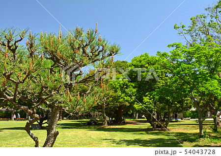 日本100名城・明石城 54043728