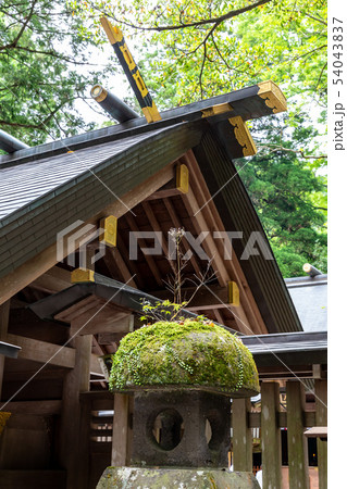 神門屋根の千木と堅魚木 天岩戸神社 西本宮 神門屋根の千木と堅魚木 天岩戸神社 西本宮 54043837