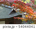 紅葉と日本家屋 54044041
