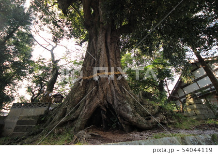 揖夜神社 54044119