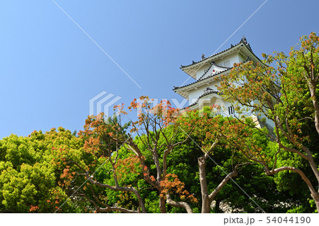 日本100名城・明石城 日本100名城・明石城 54044190