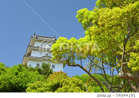 日本100名城・明石城 日本100名城・明石城 54044191