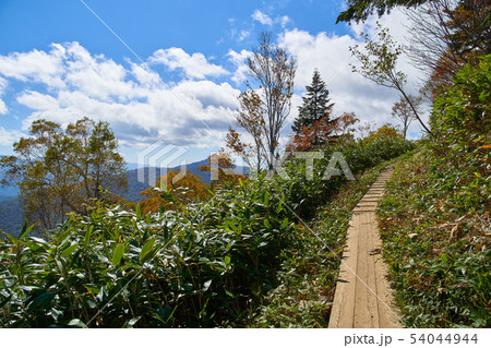 尾瀬 鳩待峠側の1800m付近 至仏山登山道 尾瀬 鳩待峠側の1800m付近 至仏山登山道 54044944