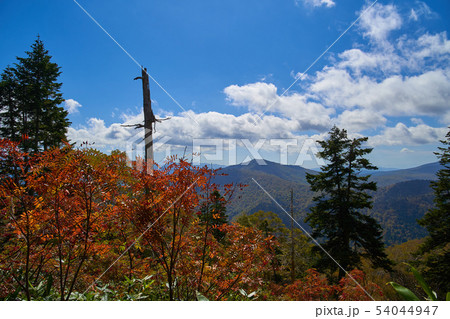 尾瀬 鳩待峠側の1800m付近至仏山登山道から南側の西山方面 尾瀬 鳩待峠側の1800m付近至仏山登山道から南側の西山方面 54044947