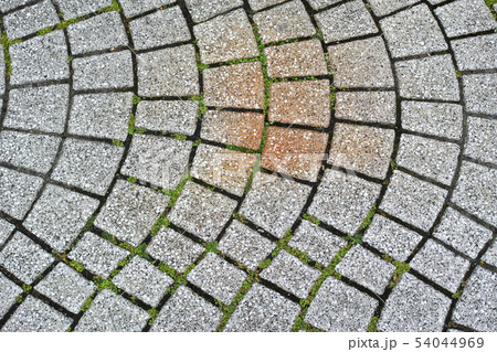 石畳の曲線模様 54044969