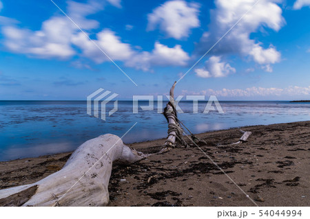 湯の尻海岸 湯の尻海岸 54044994