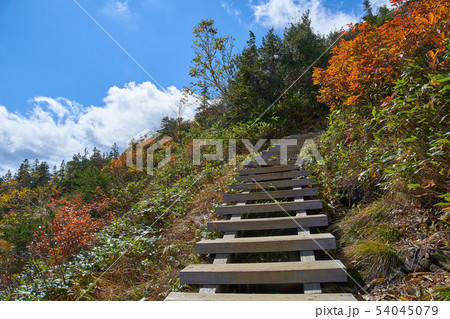 秋の尾瀬 鳩待峠側の至仏山の登山道1900m付近 秋の尾瀬 鳩待峠側の至仏山の登山道1900m付近 54045079