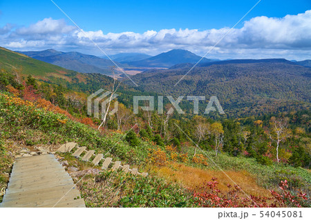 秋の尾瀬 鳩待峠側の至仏山の登山道1900m付近から北東側の尾瀬ヶ原、景鶴山方面 54045081