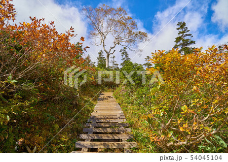 秋の尾瀬 鳩待峠側の至仏山の登山道1900m付近 54045104