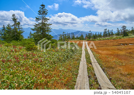 秋の尾瀬 至仏山のオヤマ沢田代から南東側の日光白根山方面眺望 54045107