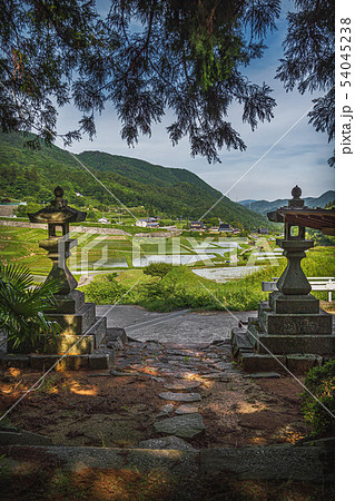 田舎の夏景色 54045238