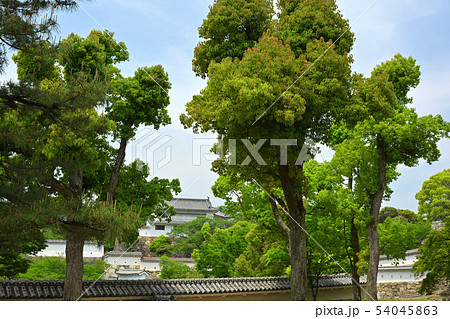 世界文化遺産・姫路城 54045863