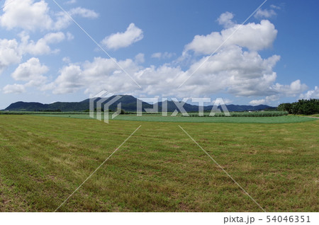 沖縄　石垣島　於茂登岳（おもとだけ）　沖縄県最高峰の山 54046351