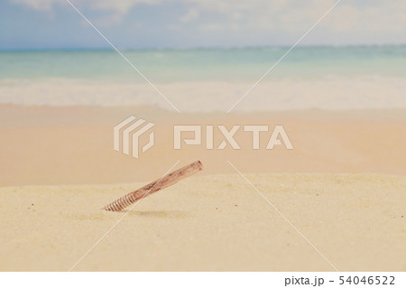 海岸のプラスチックストロー 54046522