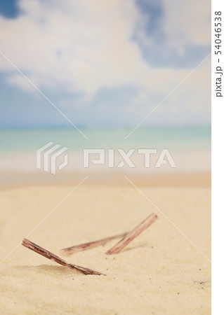 海岸のプラスチックストロー 海岸のプラスチックストロー 54046538