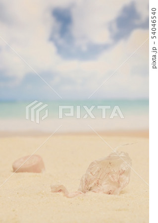 海岸のビニール袋片とペットボトルの蓋 54046540