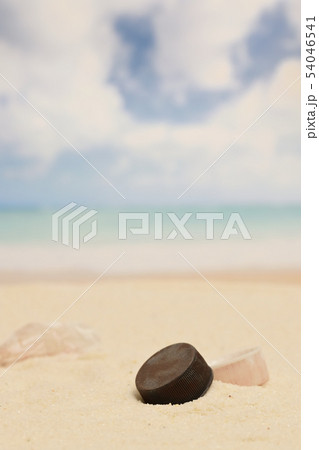 海岸のビニール袋片とペットボトルの蓋 54046541
