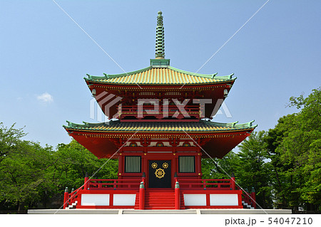 横浜・孝道山 54047210