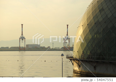 咲洲 ・ シーサイドコスモ 【 大阪市住之江区南港・コスモスクエア】 54047551