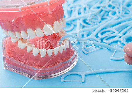 デンタルフロス 54047565