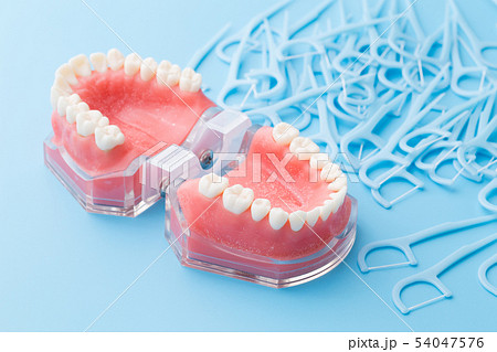 デンタルフロス 54047576