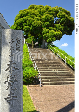 横浜・本覚寺 横浜・本覚寺 54047633