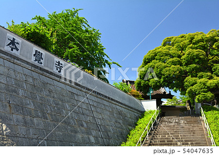 横浜・本覚寺 横浜・本覚寺 54047635