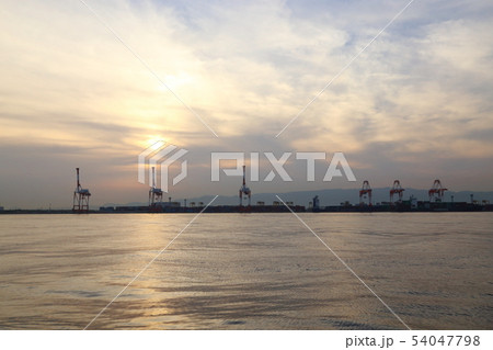 咲洲 ・ シーサイドコスモ 【 大阪市住之江区南港・コスモスクエア】 咲洲 ・ シーサイドコスモ 【 大阪市住之江区南港・コスモスクエア】 54047798