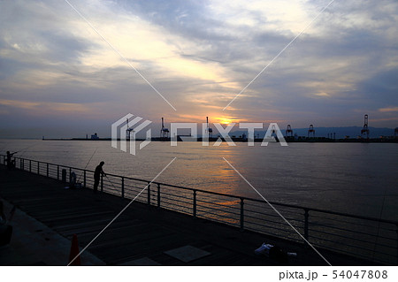 咲洲 ・ シーサイドコスモ 【 大阪市住之江区南港・コスモスクエア】 咲洲 ・ シーサイドコスモ 【 大阪市住之江区南港・コスモスクエア】 54047808