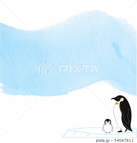ペンギン 青い水彩と白の背景のイラスト素材