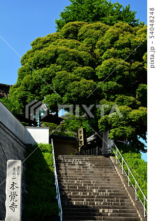 横浜・本覚寺 54048248