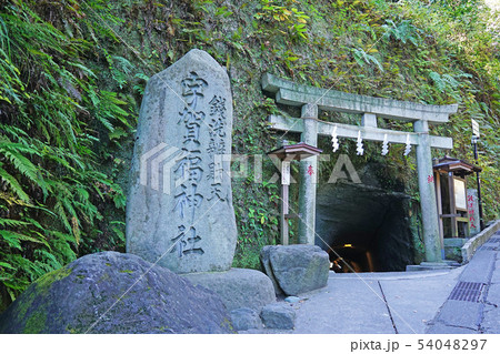 銭洗弁財天宇賀福神社 54048297