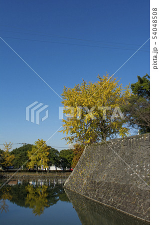 熊本 熊本 54048508