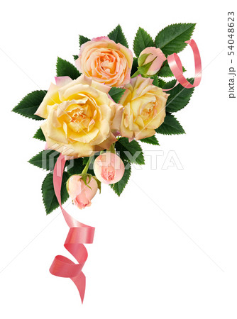 Yellow rose flowers and buds composition with pink 54048623