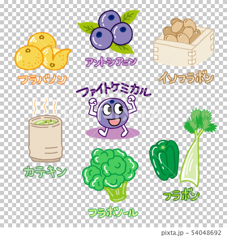 植物化學1 54048692