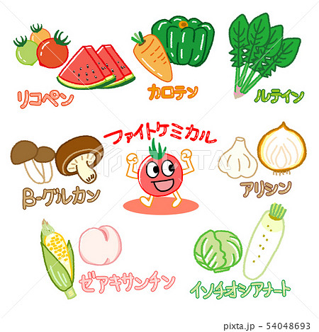 ファイトケミカル2 54048693