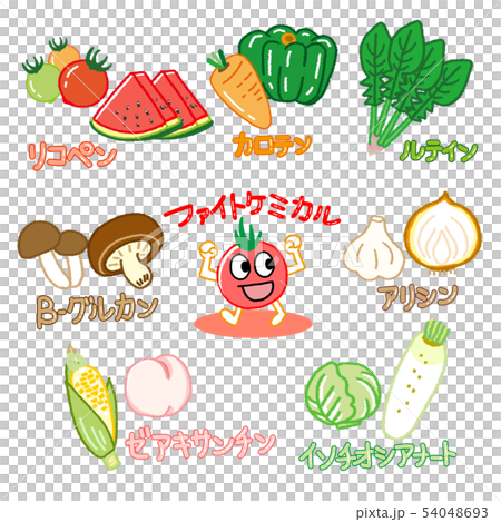 ファイトケミカル2 54048693